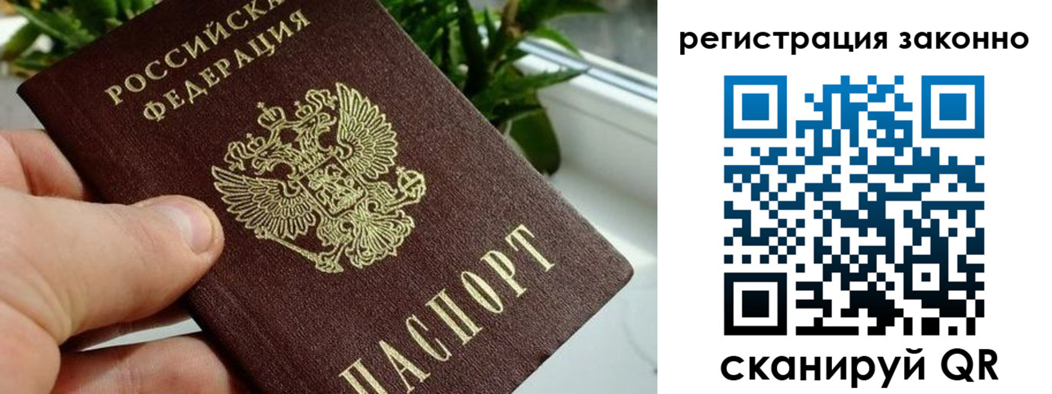прописка гарантия в Анапе
